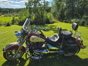 Suzuki VL