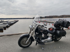 Harley-Davidson Softail