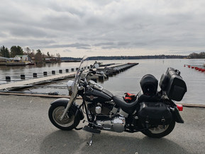 Harley-Davidson Softail