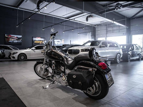 Harley-Davidson Softail