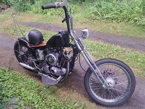 Harley-Davidson Sportster