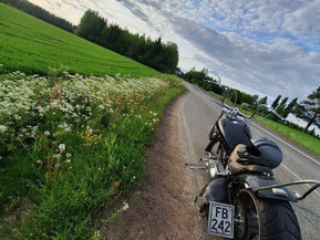Harley-Davidson Softail
