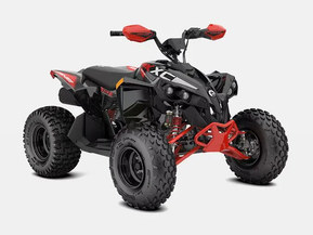 Can-Am renegade