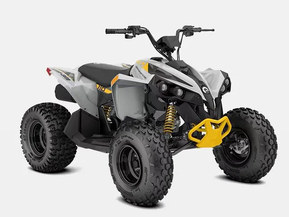 Can-Am renegade