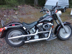 Harley-Davidson Softail