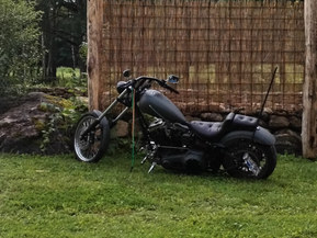 Harley-Davidson Softail