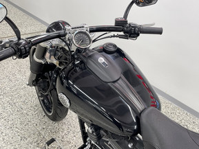 Harley-Davidson Softail