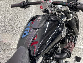 Harley-Davidson Softail