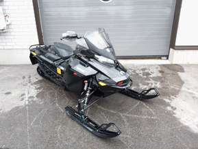 Ski-Doo Renegade