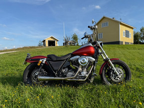 Harley-Davidson FXR