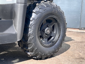 Trapper 550L T3b EPS Guardian