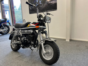 Suzuki PV