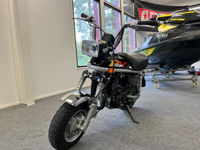 Suzuki PV
