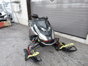 Ski-Doo Renegade