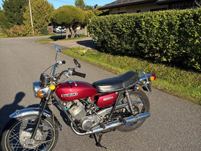 Suzuki T