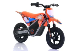 Apollo Motors Rider