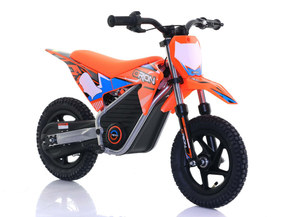 Apollo Motors Rider