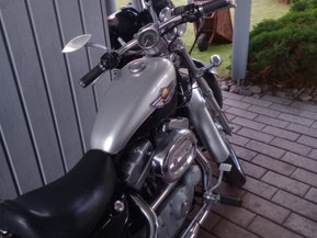 Harley-Davidson Sportster