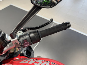 Ducati Monster