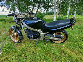 Suzuki GS