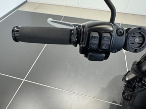 Harley-Davidson Softail