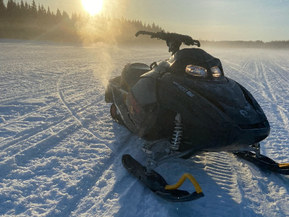 Lynx 600