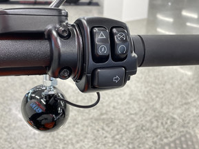 Harley-Davidson Softail