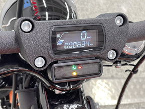 Harley-Davidson Softail