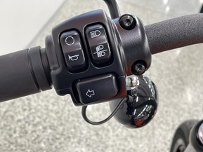 Harley-Davidson Softail