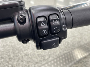 Harley-Davidson Softail