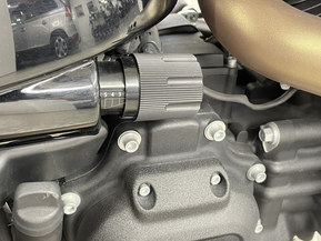 Harley-Davidson Softail