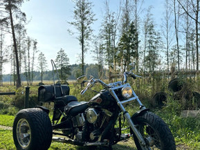 Harley-Davidson Softail