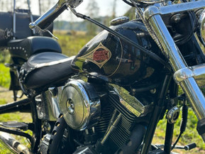 Harley-Davidson Softail