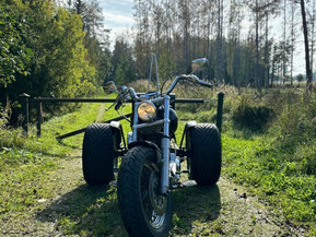 Harley-Davidson Softail