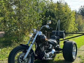 Harley-Davidson Softail