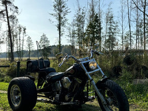 Harley-Davidson Softail