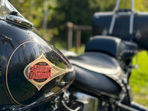 Harley-Davidson Softail