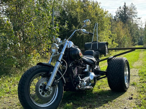 Harley-Davidson Softail