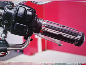 Harley-Davidson Softail