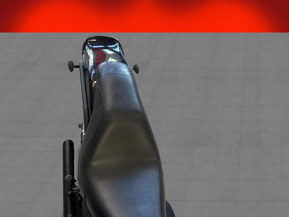 Harley-Davidson Softail