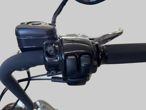 Harley-Davidson Softail