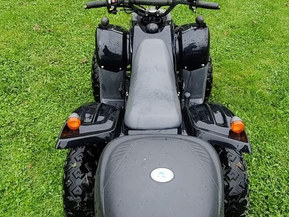 Adly moto Silver Fox