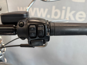 Harley-Davidson Softail