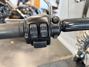 Harley-Davidson Softail