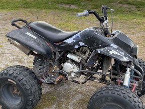Bashan BS250S-5