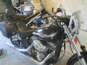 Harley-Davidson Softail