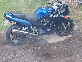 Suzuki GSX