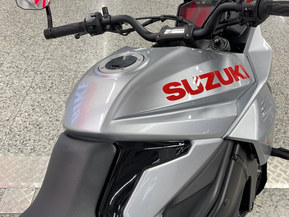 Suzuki GSX-S