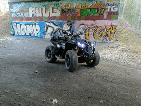Can-Am renegade
