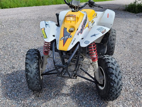 Polaris Trail Blazer